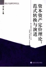 资本资产定价理论 范式转换与演进