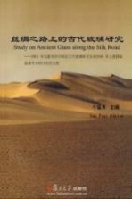 丝绸之路上的古代玻璃研究 2004年乌鲁木齐中国北方古玻璃研讨会和2005年上海国际玻璃考古研讨会论文集