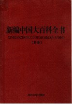 新编中国大百科全书 B卷 图文版 电子信息