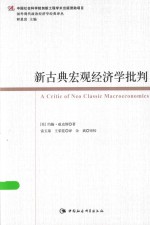 新古典宏观经济学批判