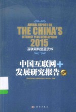 中国互联网+发展报告研究  2015