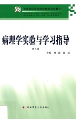 病理学实验与学习指导