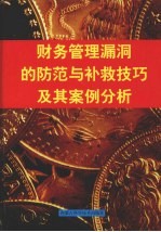 财务管理漏洞的防范与补救技巧及其案例分析 中