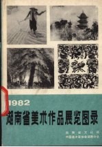 1982湖南省美术作品展览图录