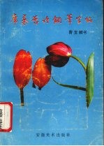 席慕蓉诗词钢笔字帖