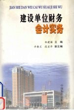 建设单位财务会计实务