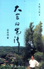 红树林文丛 大写的岜湾