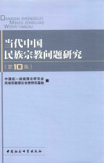 当代中国民族宗教问题研究 第10集