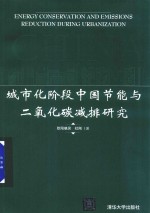 城市化阶段中国节能与二氧化碳减排研究