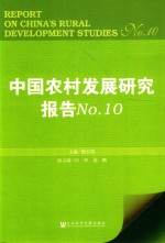 中国农村发展研究报告 NO.10