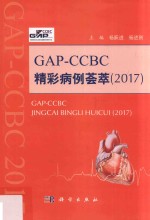 GAP CCBC精彩病例荟萃2017