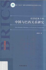 经济视角下的中国与巴西关系研究