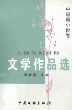 上饶市新时期文学作品选 中短篇小说卷