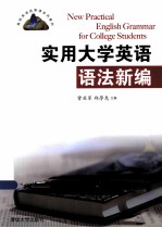 实用大学英语语法新编