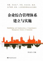 企业综合管理体系的建立与实施