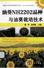 油葵NH2202品种与油葵栽培技术