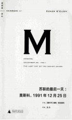 苏联的最后一天 莫斯科 1991年12月25日