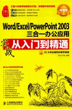 Word/Excel/PowerPoint 2003三合一办公应用实战从入门到精通 超值版