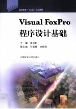 visual foxpro程序设计基础