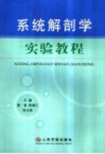 系统解剖学实验教程