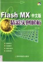 Flash MX中文版精彩实例解析