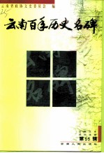 云南文史资料选辑 第55辑 云南百年历史名碑