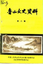 鲁山文史资料 第8辑
