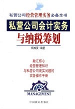 私营公司会计实务与纳税筹划