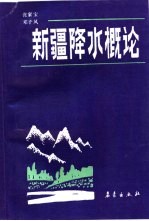 新疆降水概论