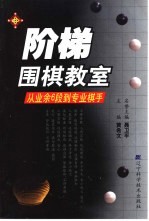 阶梯围棋教室 从业余6段到专业棋手