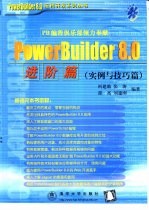 PowerBuilder 8.0进阶篇 实例与技巧篇