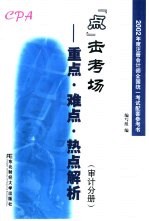 2002年度注册会计师全国统一考试配套参考书 “点”击考场-重点、难点、热点解析 审计分册