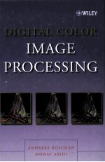 DIGITAL COLOR IMAGE PROCESSING