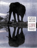 LIFE：THE SCIENCE OF BIOLOGY FOURTH EDITION