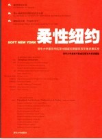 柔性纽约 清华大学建筑学院威尼斯双年展参展实录