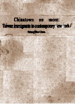 Chinatown no more:Taiwan immigrants in contemporary New York