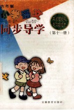 小学语文字词句段篇与习题提示同步导学 六年制 第11册