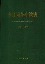 今日南阳小城镇 1990-1999