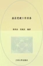 基层党建工作实务