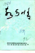 龙川文史 总第11辑 龙川乡情教育材料 故乡情