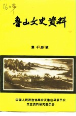 鲁山文史资料 第14辑