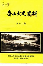 鲁山文史资料 第12辑