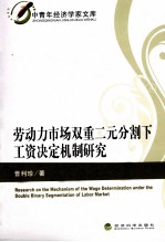 劳动力市场双重二元分割下工资决定机制研究