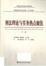 中国刑法学年会文集 2010年度 刑法理论与实务热点聚焦 下