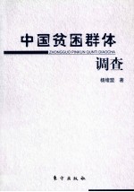 中国贫困群体调查