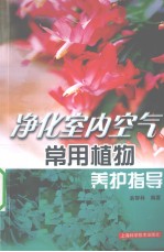 净化室内空气常用植物养护指导