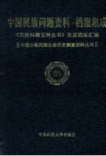 当代中国民族问题资料·档案汇编 《民族问题五种丛书》及其档案集成 第5辑 中国少数民族社会历史调查资料丛刊 第85卷