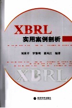 XBRL实用案例剖析