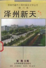 晋城市建市十周年报告文学丛书 泽州新天 陵川卷