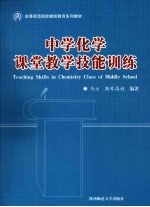 中学化学课堂教学技能训练